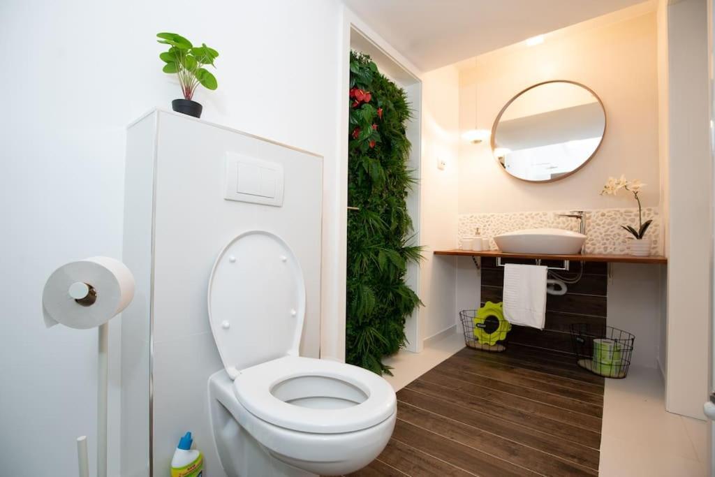 E-House Apartment Brasov Noua Экстерьер фото